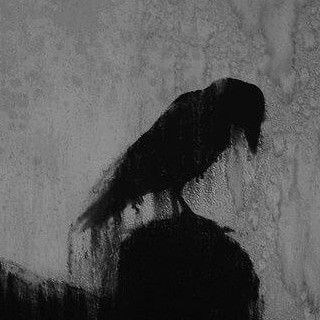 ravens symbol